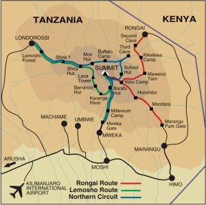 Route map showing just a few of the official routes including ours