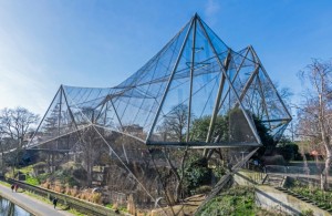 The Snowdon Aviary in Regents Park Zoo